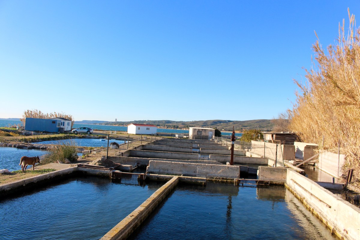 Etang de Berre 