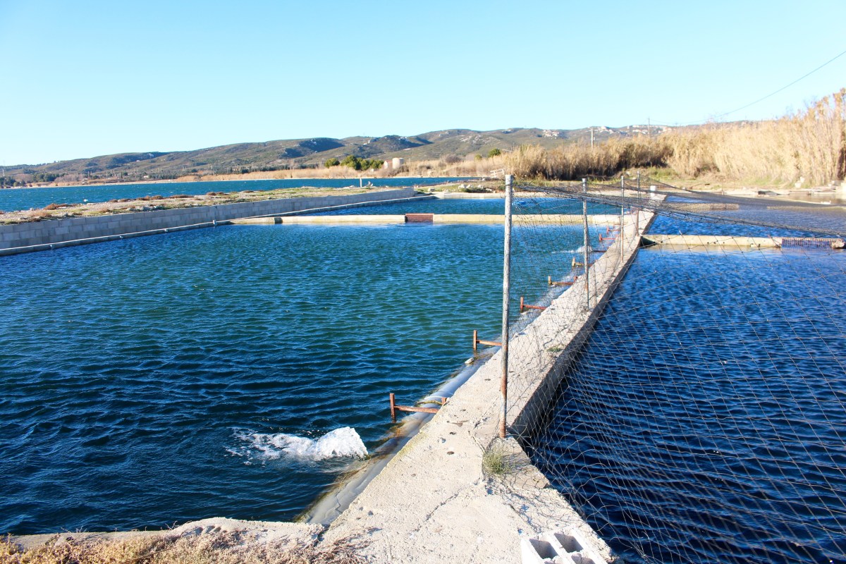 Etang de Berre 