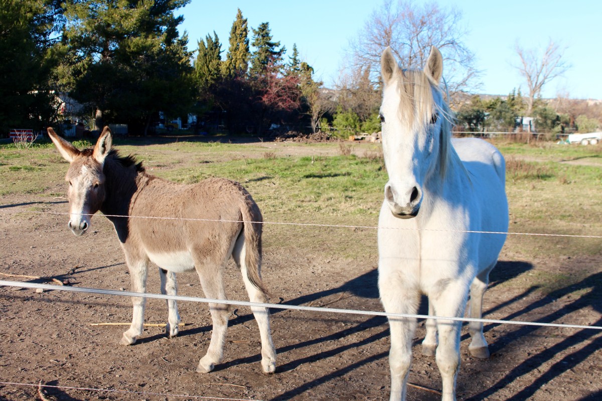 Etang de berre / Plage des Merveilles