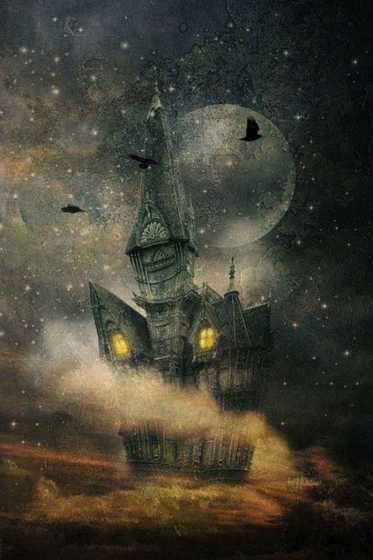 a30368330ae24e12fd1b744ecf797856