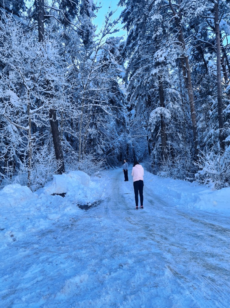 Entre ciel et terre, du blanc...